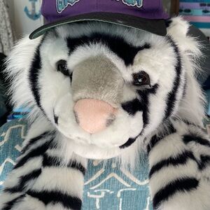 One Size Fits All Purple, Green, Black Paramount’s Great America Cap
